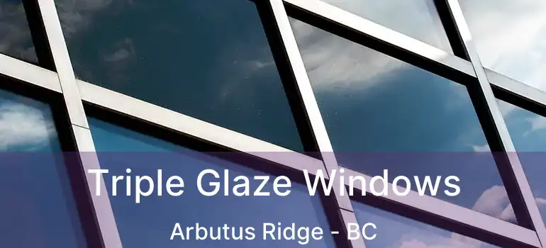 Triple Glaze Windows Arbutus Ridge - BC