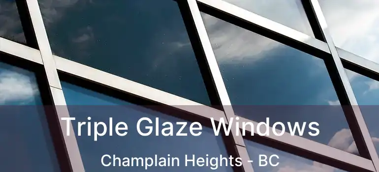  Triple Glaze Windows Champlain Heights - BC