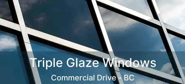  Triple Glaze Windows Commercial Drive - BC