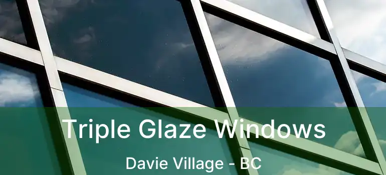 Triple Glaze Windows Davie Village - BC