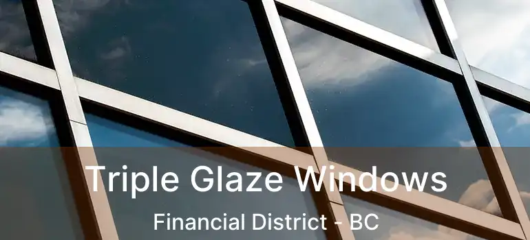  Triple Glaze Windows Financial District - BC