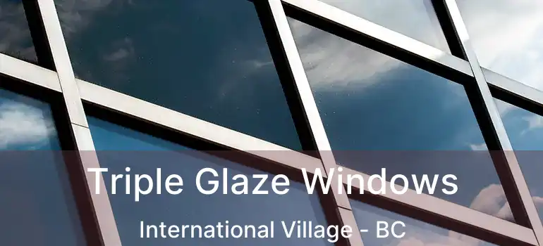  Triple Glaze Windows International Village - BC