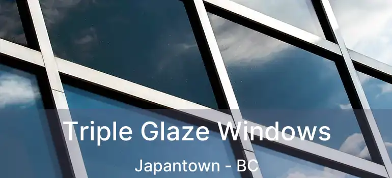  Triple Glaze Windows Japantown - BC