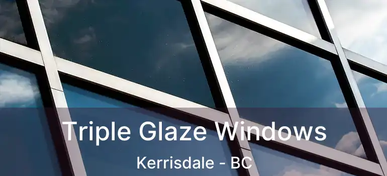  Triple Glaze Windows Kerrisdale - BC