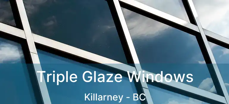  Triple Glaze Windows Killarney - BC