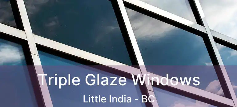  Triple Glaze Windows Little India - BC
