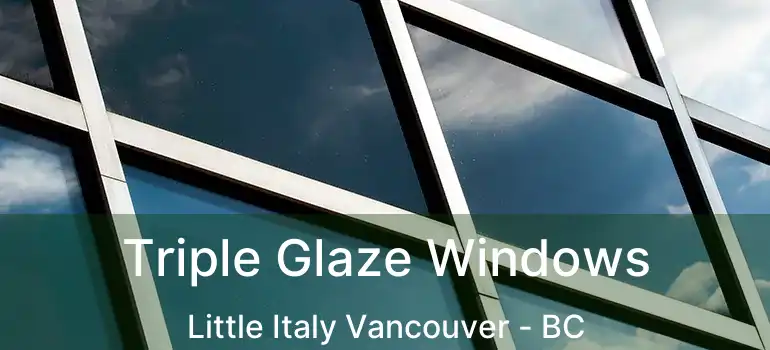  Triple Glaze Windows Little Italy Vancouver - BC
