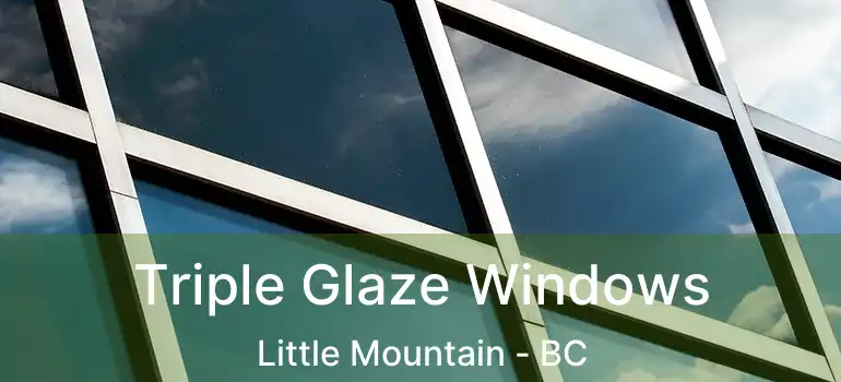  Triple Glaze Windows Little Mountain - BC