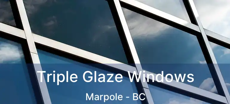  Triple Glaze Windows Marpole - BC