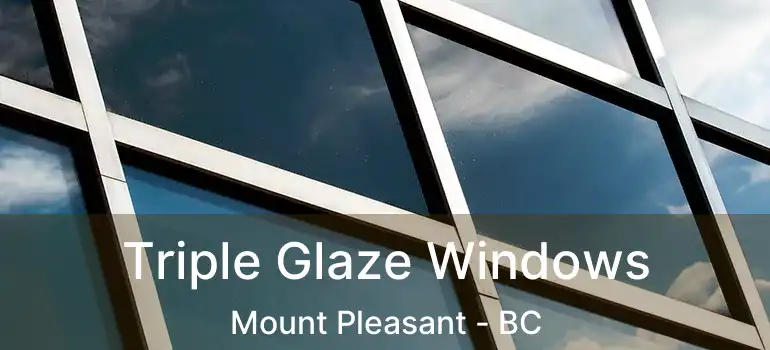  Triple Glaze Windows Mount Pleasant - BC