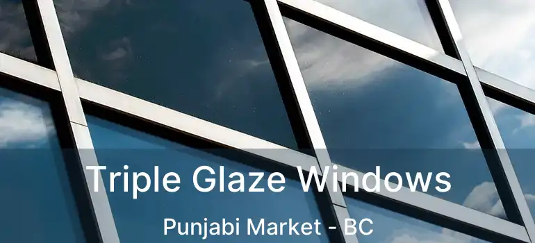  Triple Glaze Windows Punjabi Market - BC