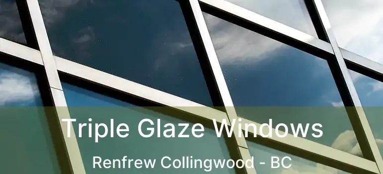  Triple Glaze Windows Renfrew Collingwood - BC