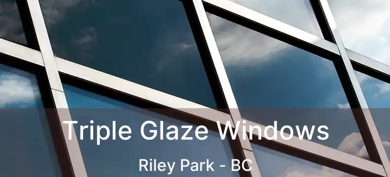  Triple Glaze Windows Riley Park - BC