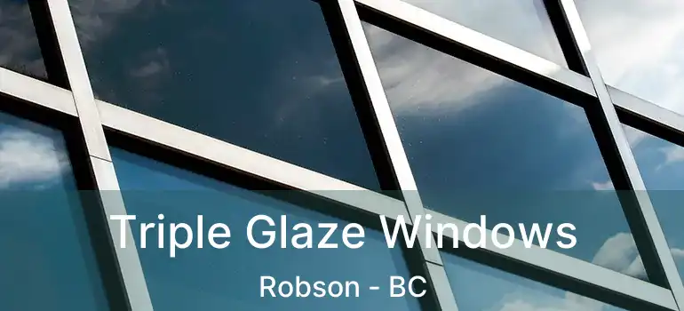  Triple Glaze Windows Robson - BC