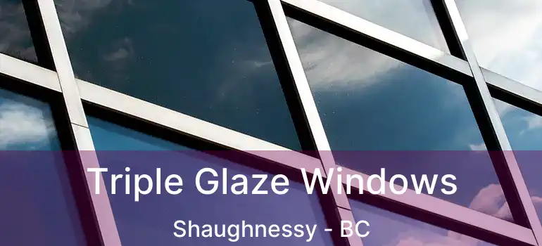  Triple Glaze Windows Shaughnessy - BC