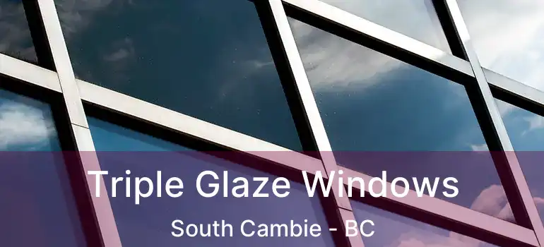  Triple Glaze Windows South Cambie - BC