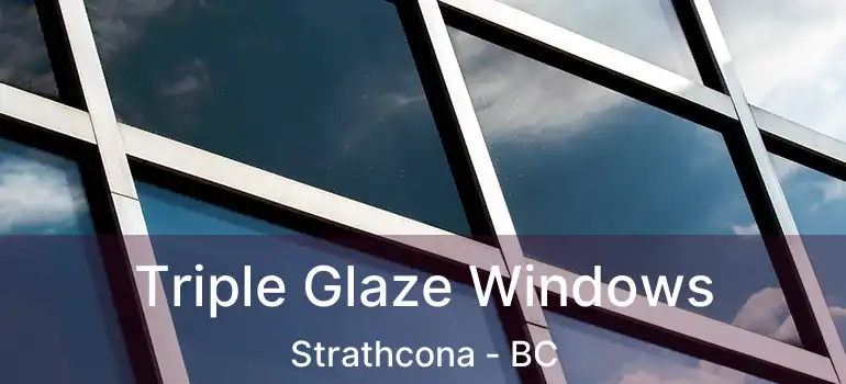  Triple Glaze Windows Strathcona - BC