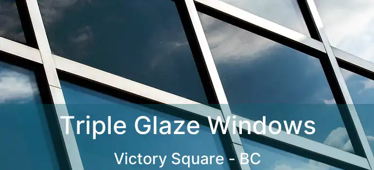  Triple Glaze Windows Victory Square - BC