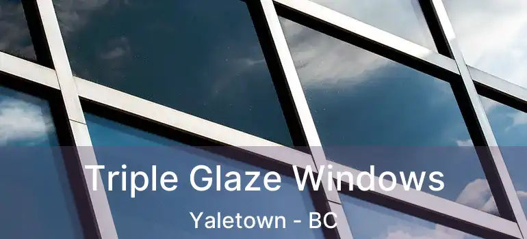  Triple Glaze Windows Yaletown - BC