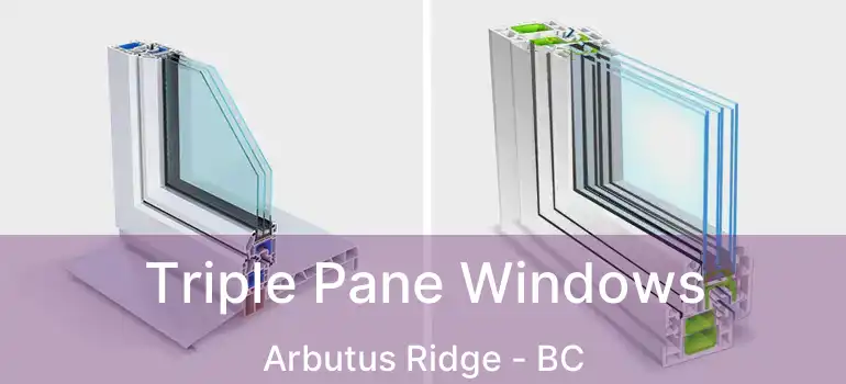  Triple Pane Windows Arbutus Ridge - BC