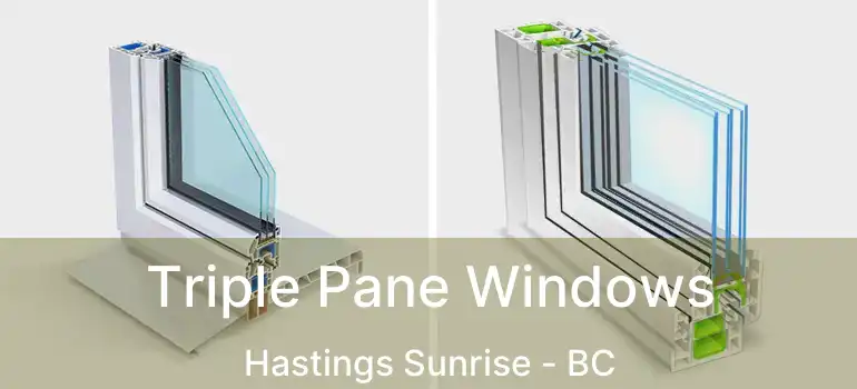  Triple Pane Windows Hastings Sunrise - BC