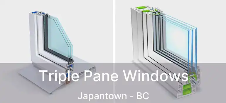  Triple Pane Windows Japantown - BC