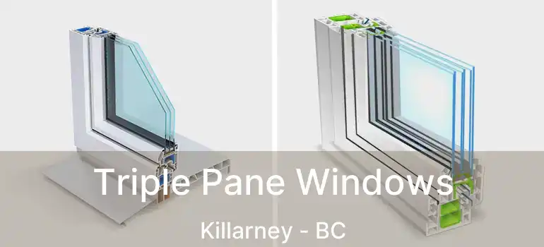  Triple Pane Windows Killarney - BC