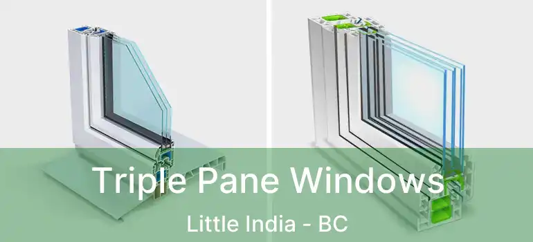  Triple Pane Windows Little India - BC