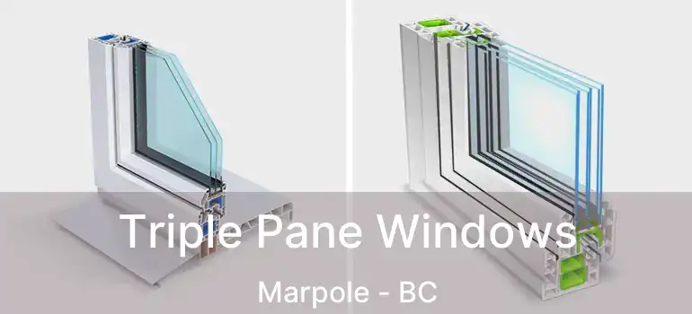  Triple Pane Windows Marpole - BC