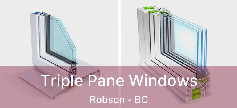  Triple Pane Windows Robson - BC