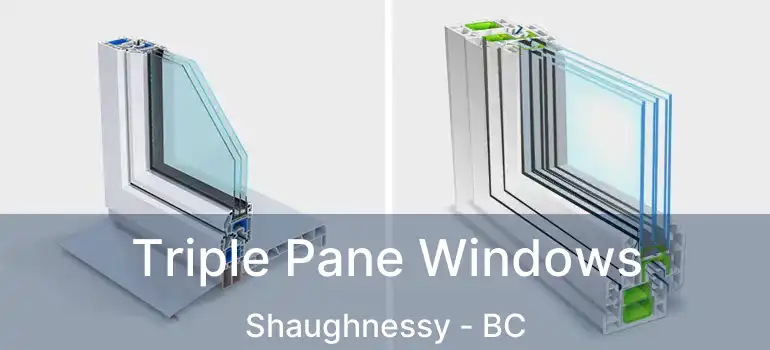  Triple Pane Windows Shaughnessy - BC