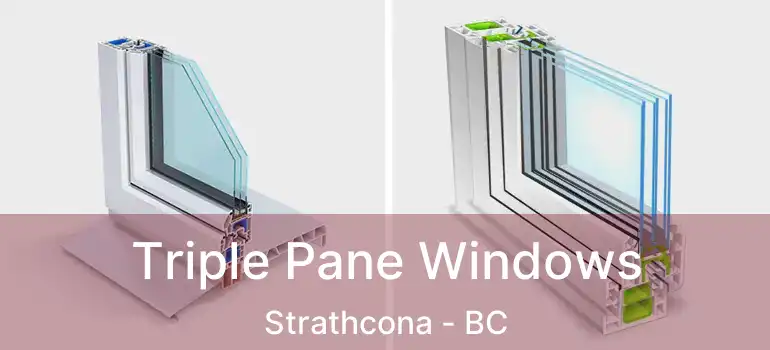  Triple Pane Windows Strathcona - BC