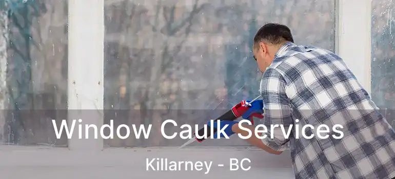  Window Caulk Services Killarney - BC