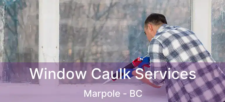  Window Caulk Services Marpole - BC