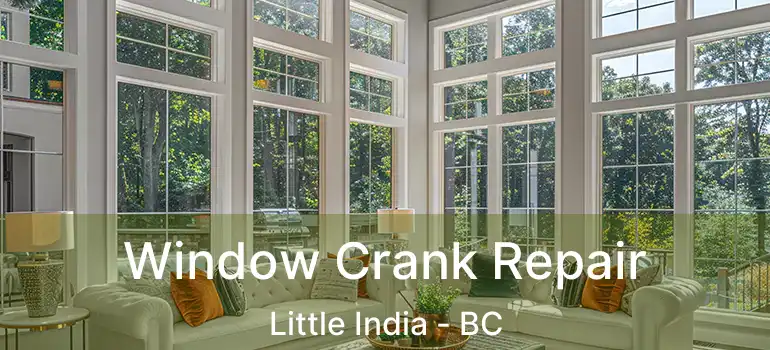  Window Crank Repair Little India - BC
