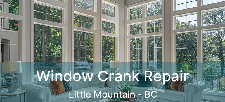  Window Crank Repair Little Mountain - BC