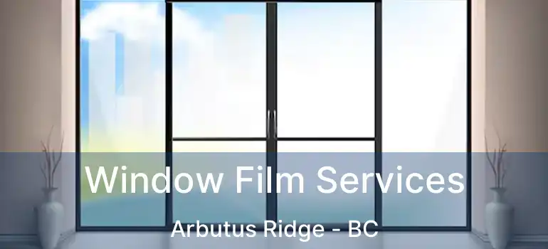  Window Film Services Arbutus Ridge - BC