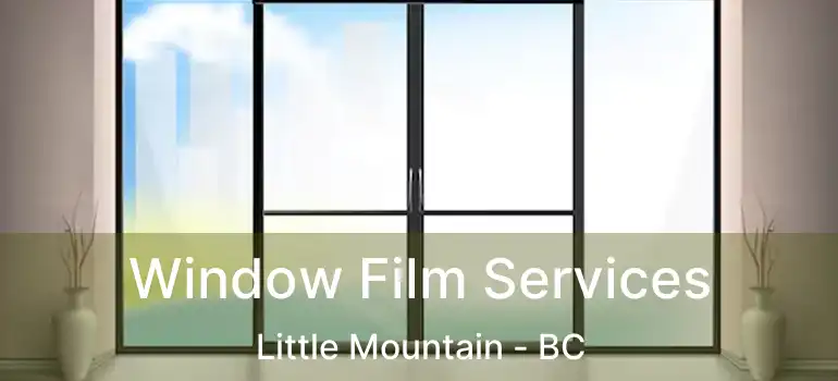  Window Film Services Little Mountain - BC