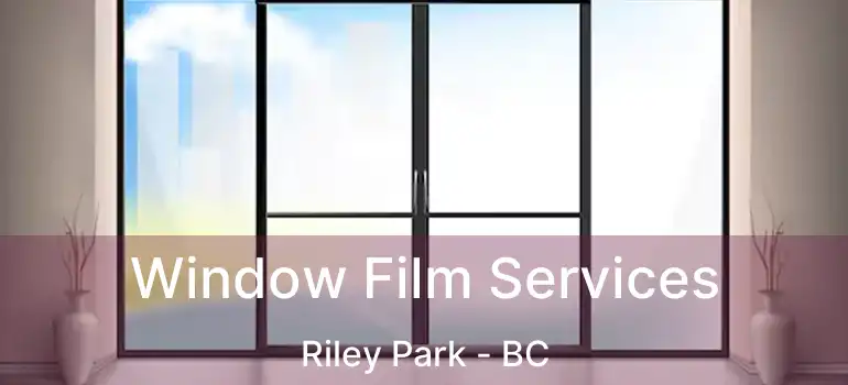  Window Film Services Riley Park - BC