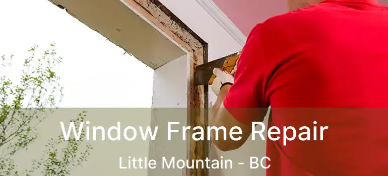  Window Frame Repair Little Mountain - BC