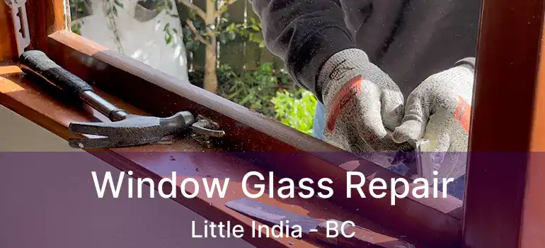  Window Glass Repair Little India - BC