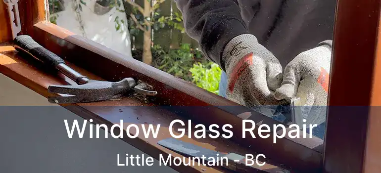  Window Glass Repair Little Mountain - BC