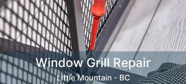  Window Grill Repair Little Mountain - BC