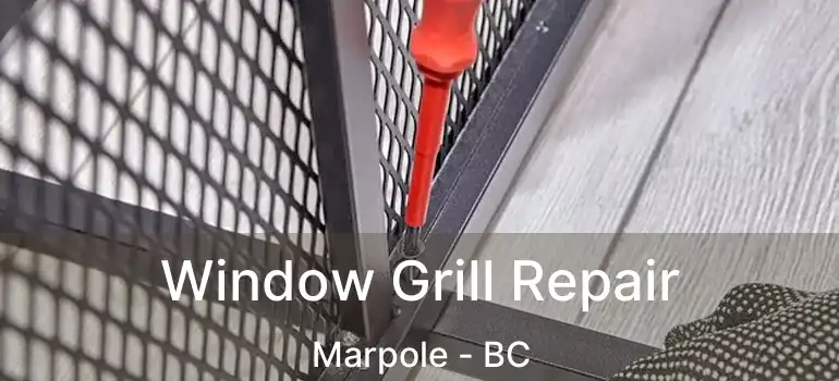  Window Grill Repair Marpole - BC