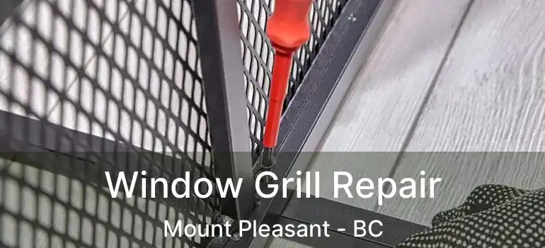  Window Grill Repair Mount Pleasant - BC