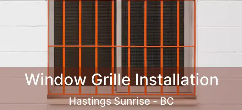  Window Grille Installation Hastings Sunrise - BC