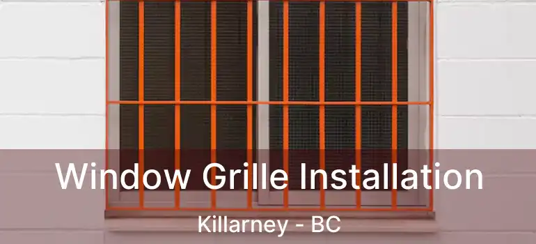  Window Grille Installation Killarney - BC