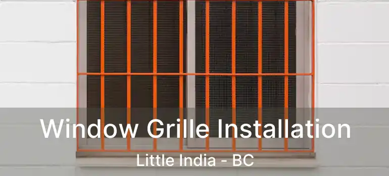  Window Grille Installation Little India - BC