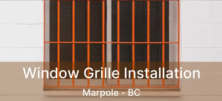  Window Grille Installation Marpole - BC