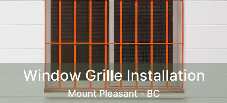  Window Grille Installation Mount Pleasant - BC